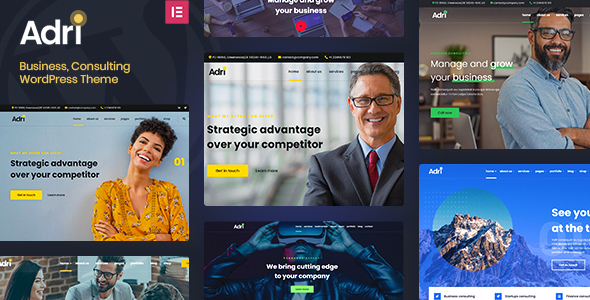 Adri - Business and Consulting WordPress Theme 3.0.3