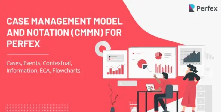 Management Model and Notation module for Perfex CRM