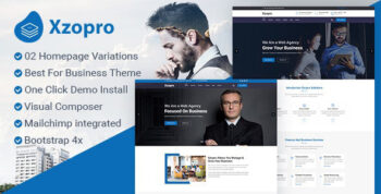 Xzopro - Finance And Business WordPress Theme 1.1.3